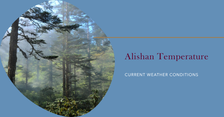 Temperature in Alishan | What to Expect on Your Visit?