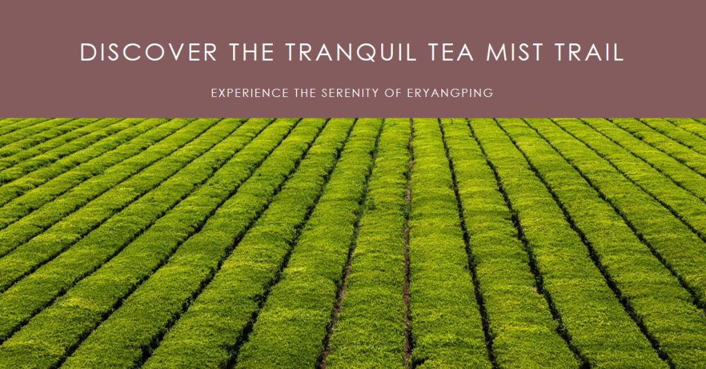 Trail of Eryangping and Tea Mist.