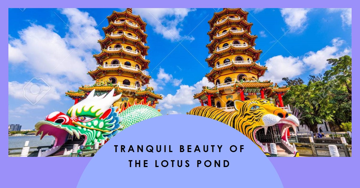Visit the Lotus Pond